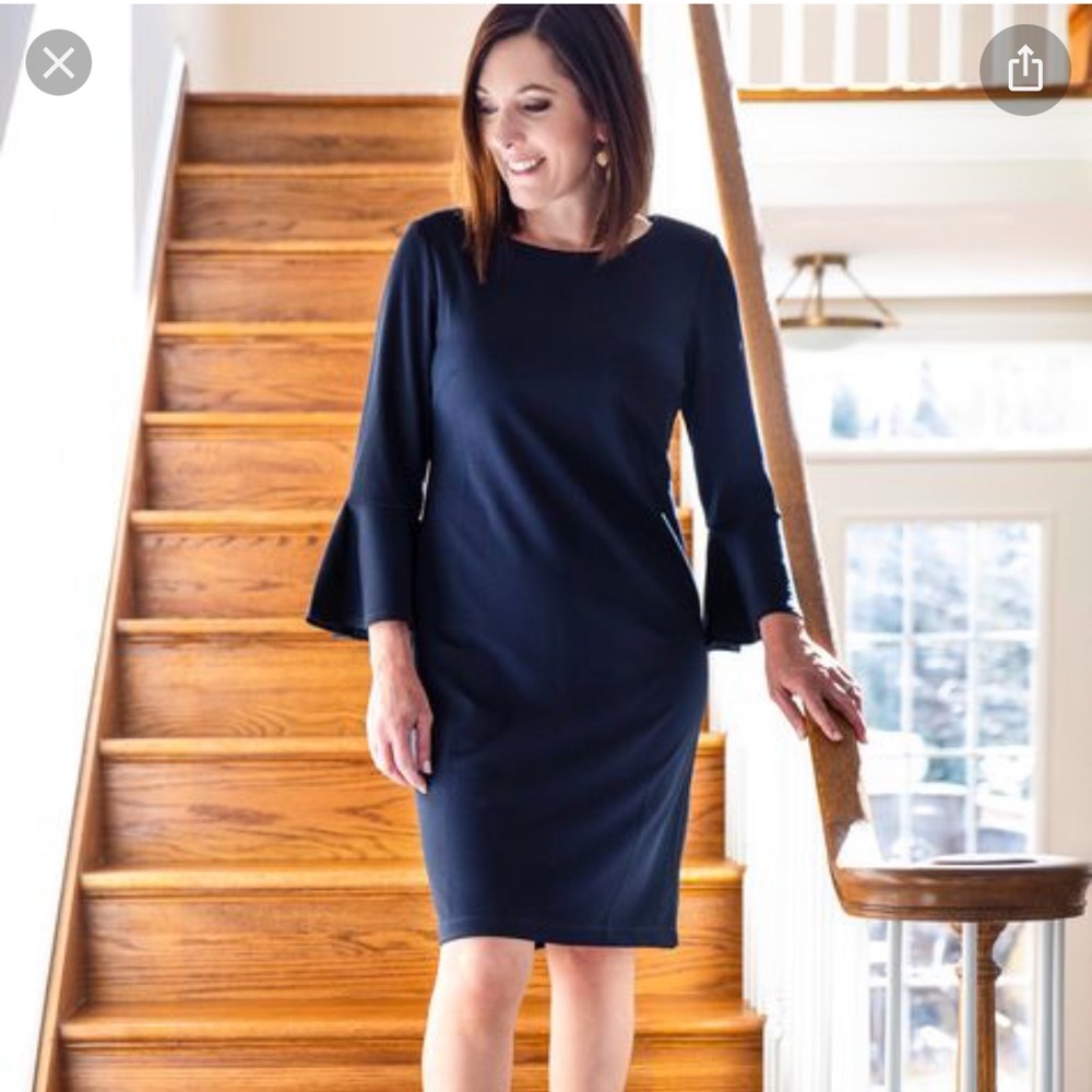 Ann Taylor velour shift dress.